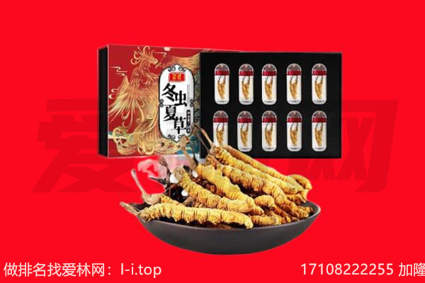 钦州回收虫草.jpg